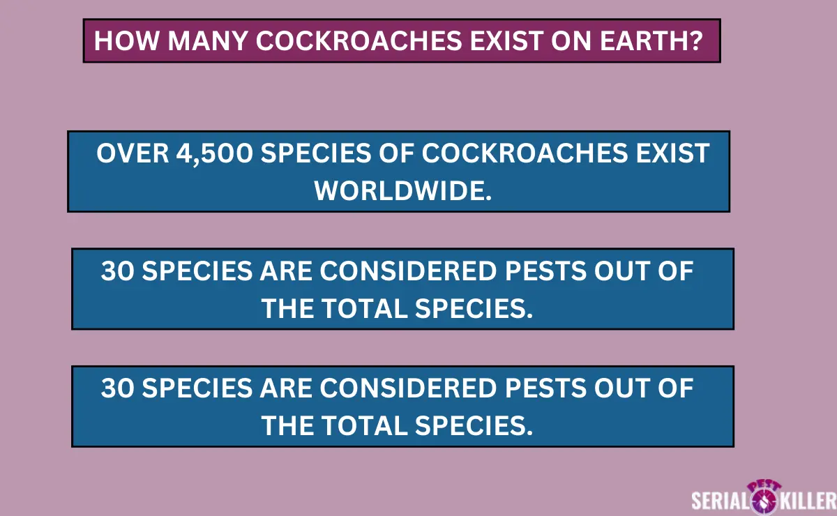 How Many Cockroaches Exist on Earth?