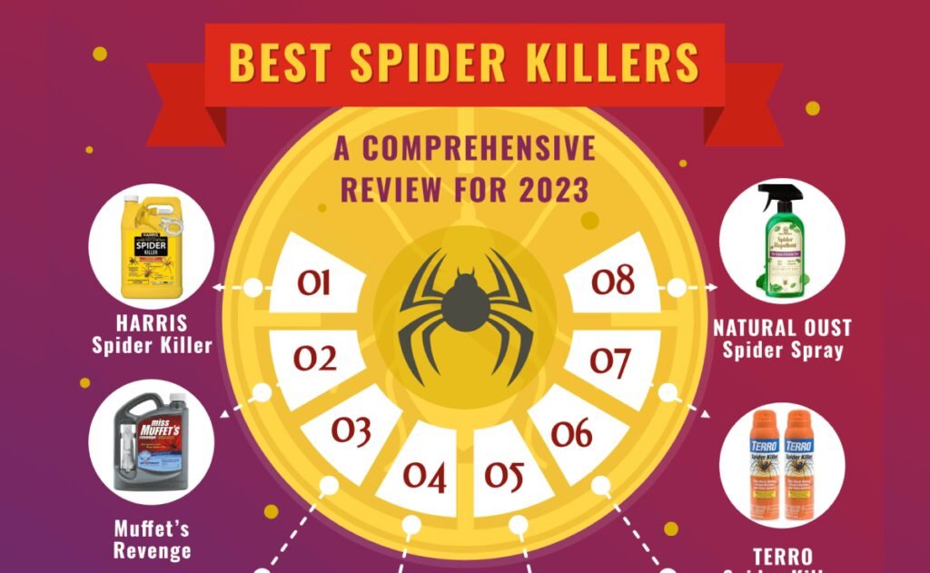 The 8 Best Spider Killers A Comprehensive Review For 2023   Best Spider Killers Infograph 1 2 1 1024x631 1 