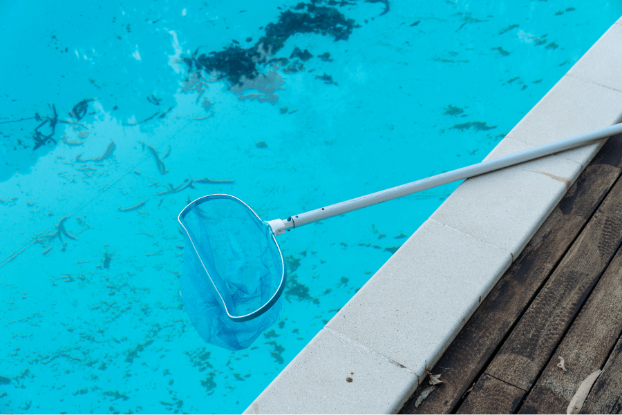 Person cleaning swimming pool to remove bugs and debris