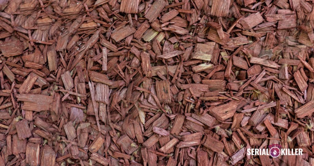  Cedar mulch, a fragrant and durable option for enhancing garden aesthetics and soil health."