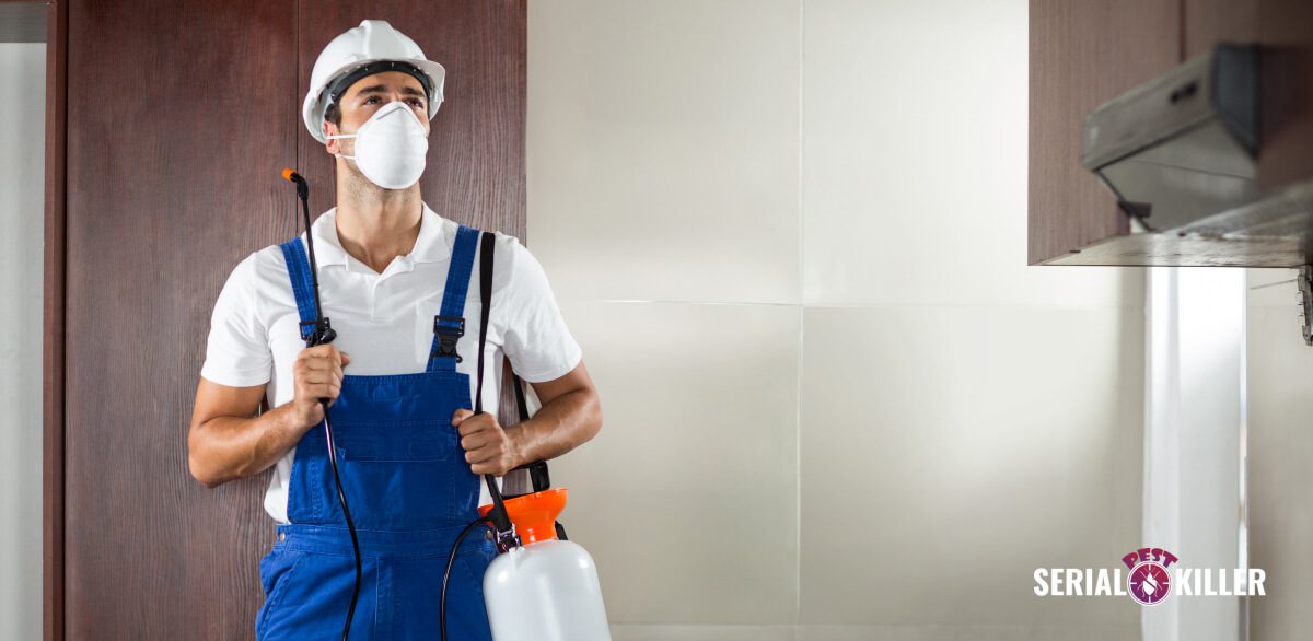 The Hidden Dangers of Termites: 5 Steps to Protect Your Home - Serial ...