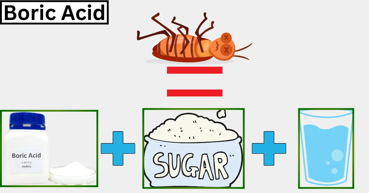 Boric acid to kill roaches