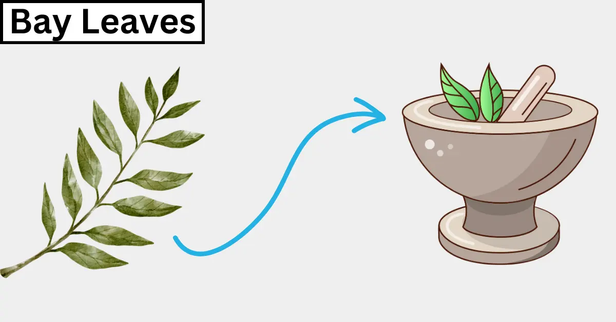 use of Bay leaves to get rid of cockroaches 