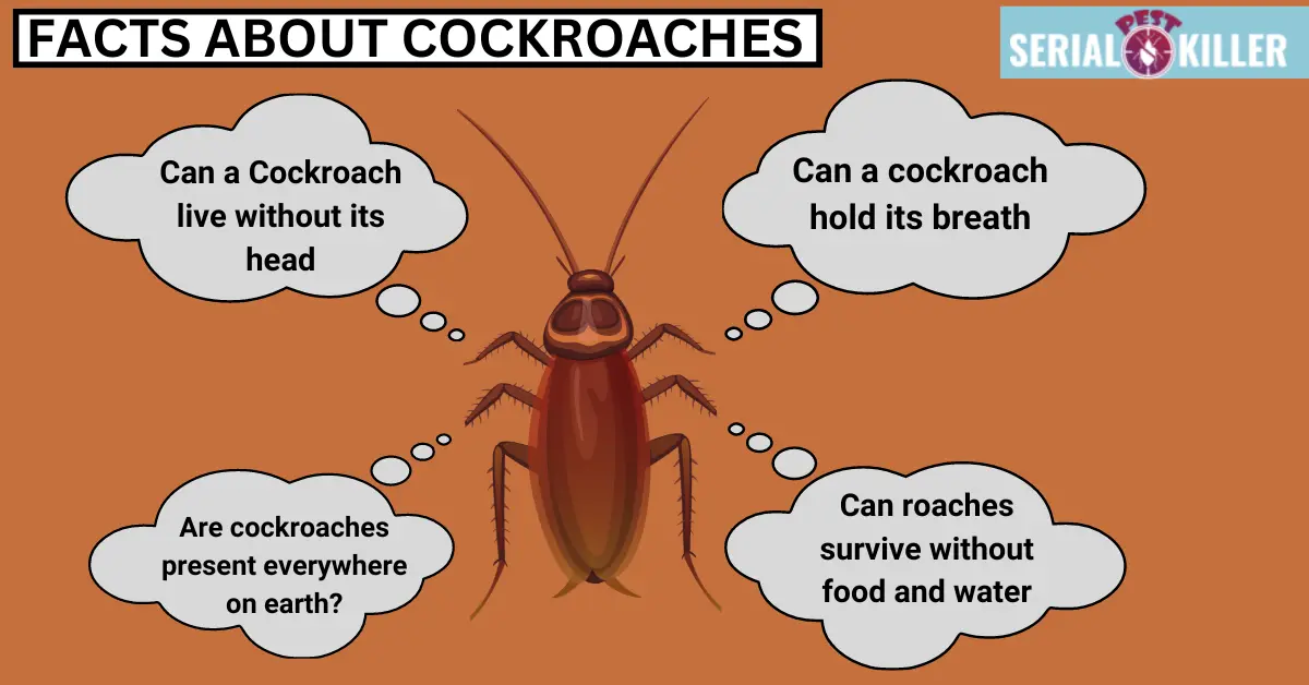 Facts about Cockroaches