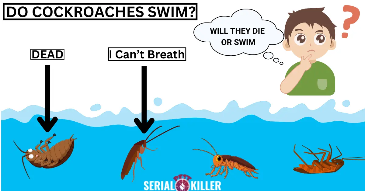 Do cockroaches have the ability to swim?