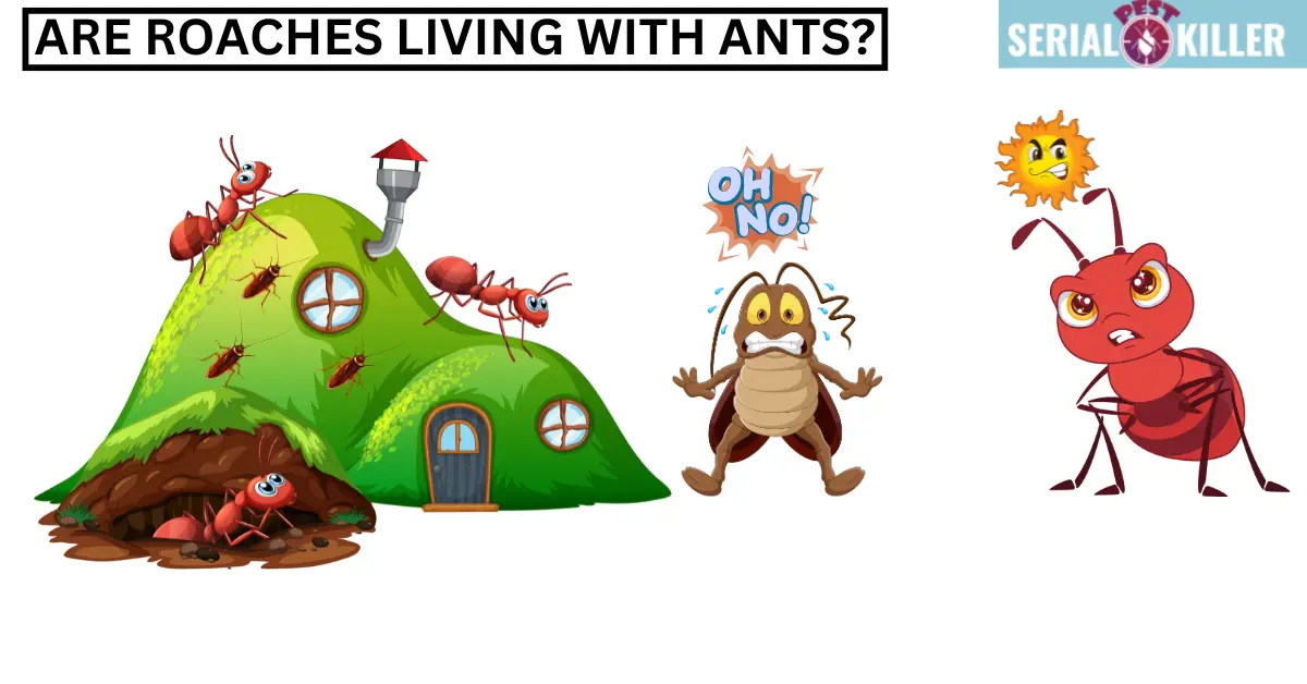 Are roaches living with ants?