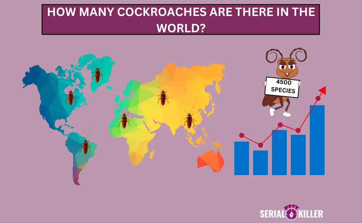 How many Roaches are there in the World?