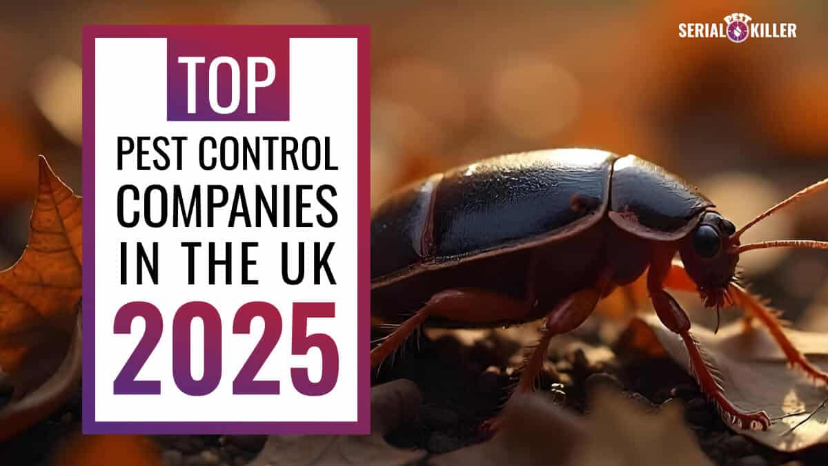 Technician providing pest control service in the UK — representing one of the top-rated pest control companies in 2025.